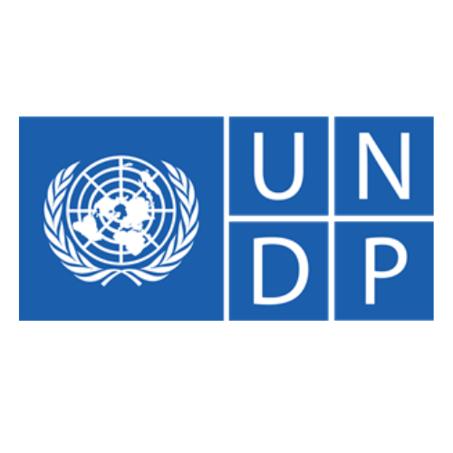 pnud undp